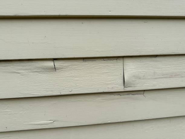 Storm Damage Siding Repair in Bala Cynwyd, PA